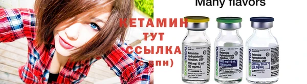шишки Наволоки