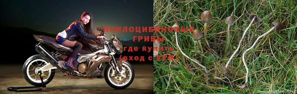 кокаин Надым