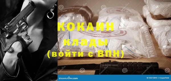 шишки Наволоки