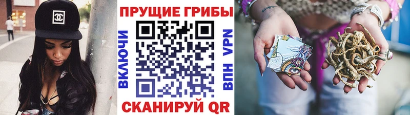 Псилоцибиновые грибы GOLDEN TEACHER  mega вход  Нерехта 